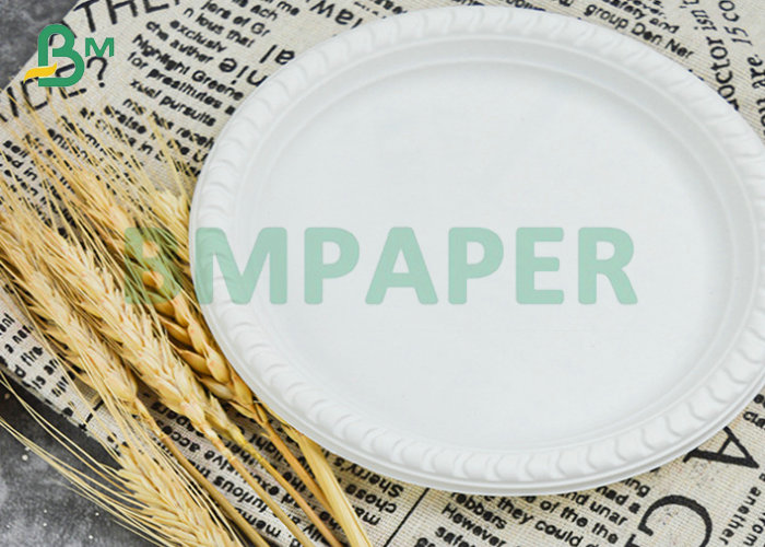 250g 300g Offset Printing Disposable Lunch Box Paper For Paper Plate