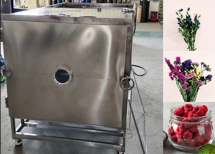 Air Cooled Freeze Dryer 30~35kg/Batch For Fruit Vegetable Drying
