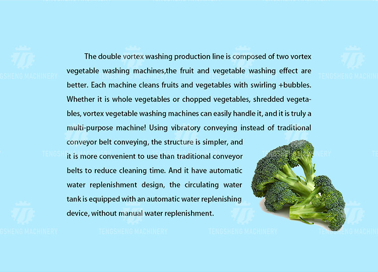 2400L 1800KG/H Fruit Vegetable Washing Line With Swirling Bubbles