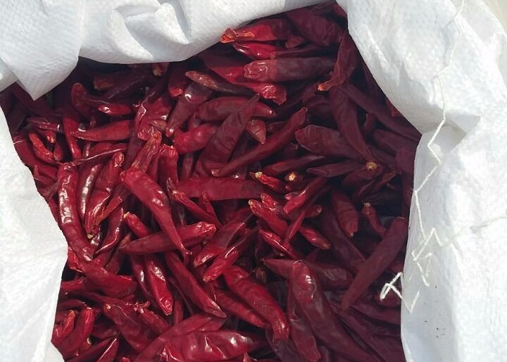 GMP Dried Red Chilli Peppers 2CM Dehydrated Lantern Pepper 2 Year Shelf Life