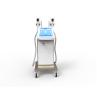 Buy cheap 2018 Professional fat freezing body sculpting freeze belly fat for beauty center from wholesalers