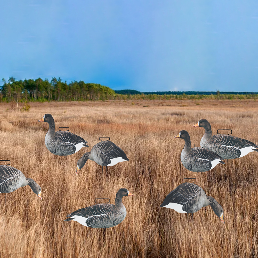 Anti Reflective Goose Hunting Decoy PP Goose Silhouette Decoys Customized