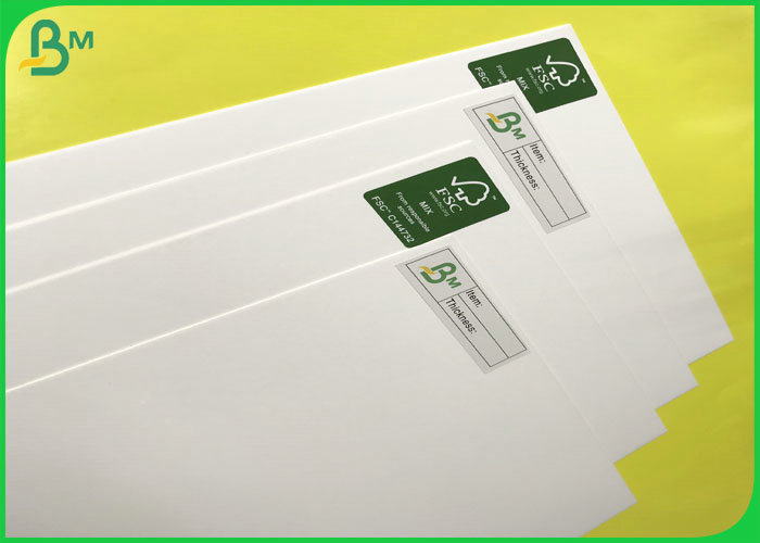 sbs ivory paper