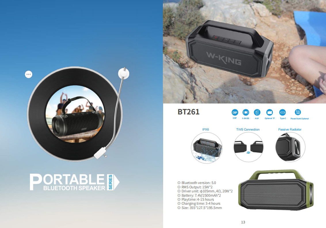 60W Waterproof IPX5 Bluetooth Wireless Speaker with TWS, DSP, TF Card, Equalizer & Subwoofer