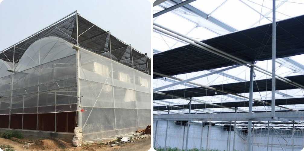 Multi-Span Greenhouse Kits Plastic Film Hydroponics Greenhouse For Sale