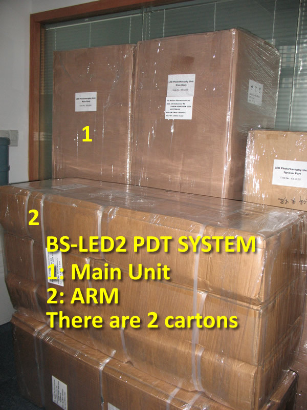 BS-LED2 LED Skin Rejuvenation Beauty Machine (8)