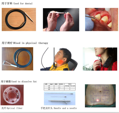 Pain Relief Physical Therapy Equipment 650nm 808nm Diode Laser For Treatment