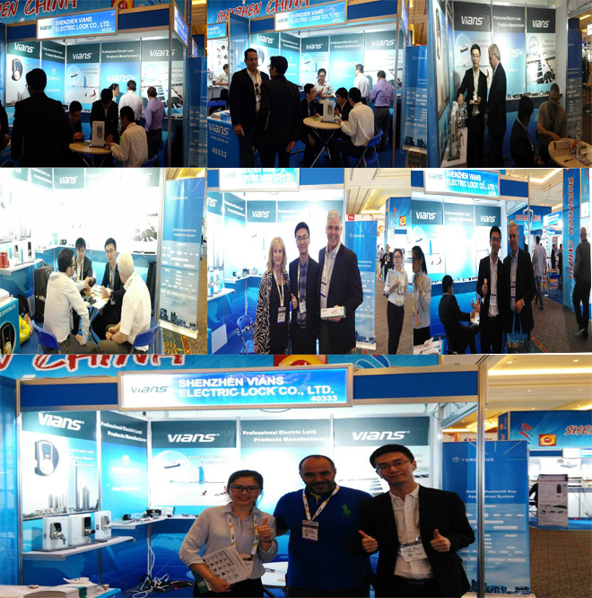 Our exhibitions