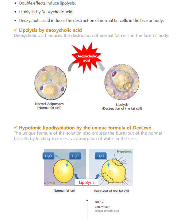 Kabelline Fat Dissolver USA