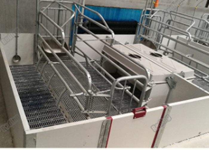 Durable Pig Farm Equipment Nursery Weaning Crate Weaning Fence For Piglets PE Plate