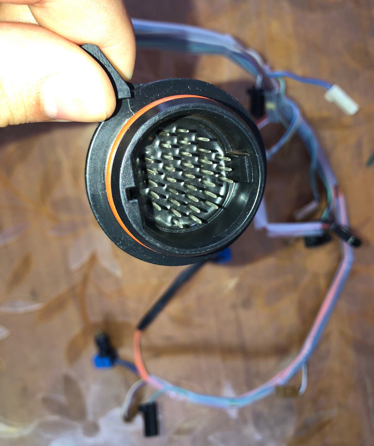 Affordable Used Wiring Harness for BMW MINI GA6F21AW TF-72SC From Gearbox Disassembly