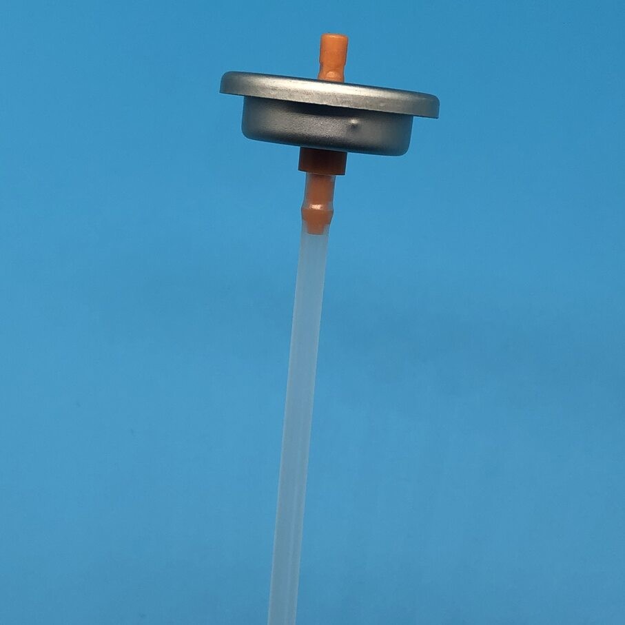 Standard Natural Paint Spraying Valve for Dip Tube at Spray Paint