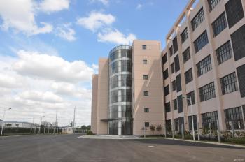 Guangzhou AVIS International Trade Co., Ltd.