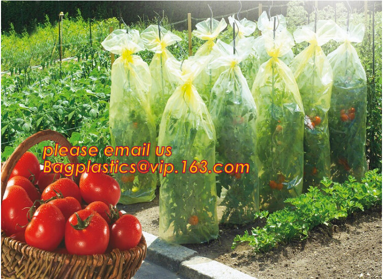 0.1mm 0.12mm 0.15mm 0.18mm 0.2mm 0.25mm hydroponic agriculture white/black panda opaque polyethylene PE film BAGPLASTICS