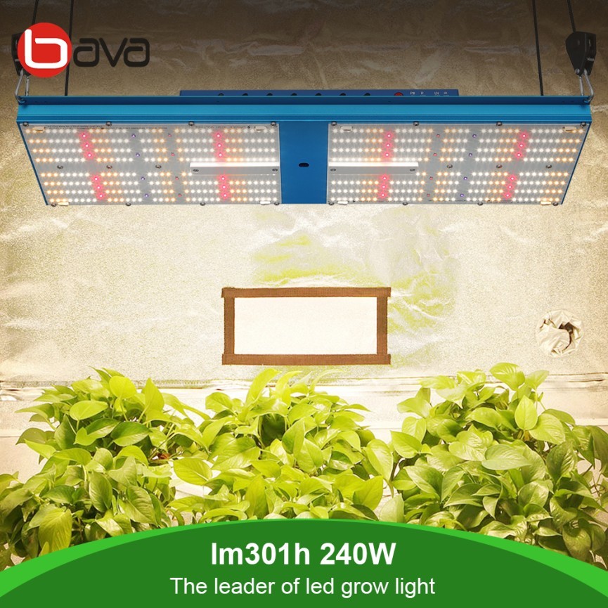 BAVA 2.6 umol Led four adjustable specturm switch ir 385nm 240w Greenhouse Grow Lamps