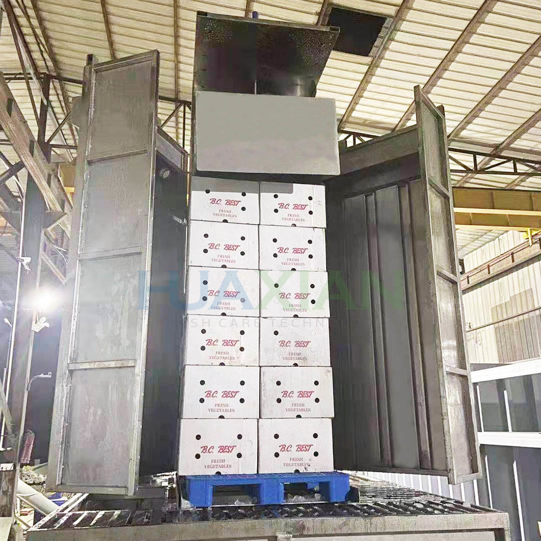Water Ice Injector Rapid Cooling Stainless Steel For Broccoli Grower