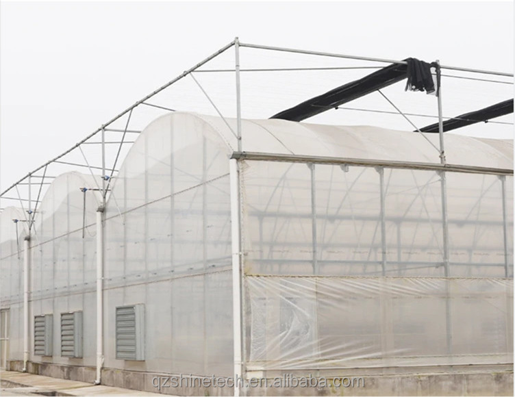 Hot Dip Galvanized Steel Tube Frame Multi Span Agricultural Greenhouse