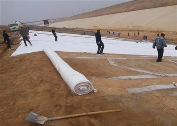0.9mm Non Woven Geotextile Fabric Polyester Pet Filament Pp