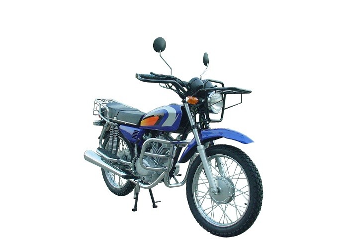125CC Gas Powered Motorcycle , Enduro Sports Gas Engine Motorcycle Triumph Scrambler