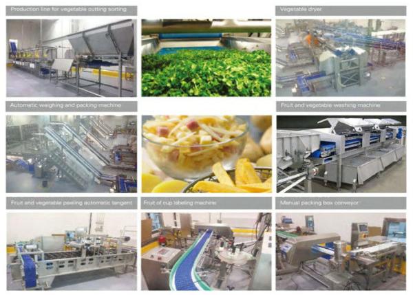 380V Commercial Food Canning Equipment Fresh Cut Fruit / Vegetable Production