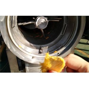 High Quality Customized Mango Juice Processing Machine Mangga/Mango Pulp