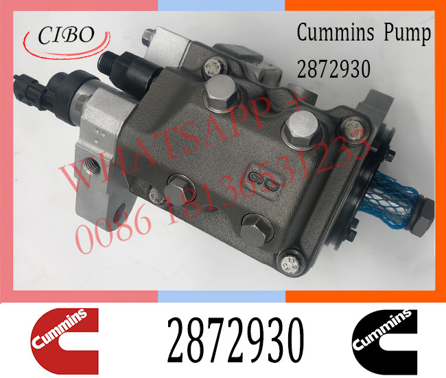Diesel Engine Parts Fuel Injection Pump 2872930 3973228 4921431 2872191 For Cummins ISLE