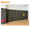 Buy cheap Kids Zone Rock Climbing Wall Equipment Elegant Indoor Bouldering Wall CE ROHS from wholesalers