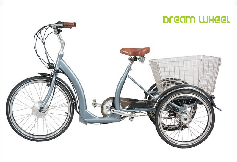 20km/H 35km Pedal Assist Adult Tricycle 36V 350W Motor