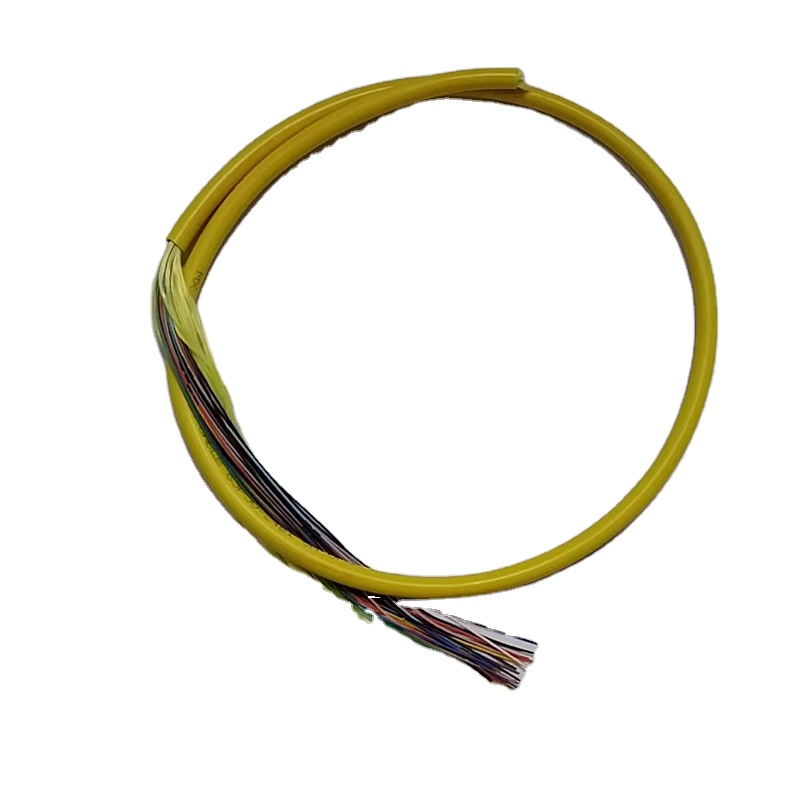 Telecommunication Networks Gjfjv-24b1 Fiber Optic Cable with Low Smoke Zero Halogen