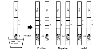 Accuracy 99.9% Midstream FSH Rapid Test Follicle Stimulating Hormone Detection Dipstick