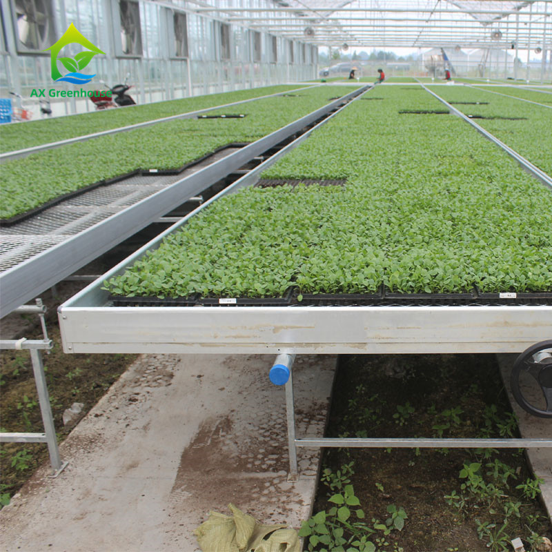 Hot Galvanized Steel Frame Commercial Greenhouse Tables with Adjustable Shelving and UV Protection