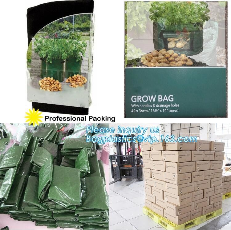 Nine pockets cheap vegetable grow planter bag,china manufacture riptop waterproof nursery bag,planting potato grow bag