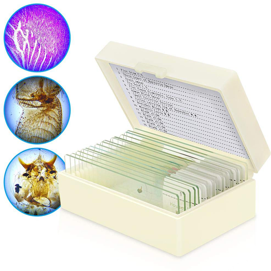 15 Pieces Mixed Botany Microscope Prepared Slides Set For Biology Education