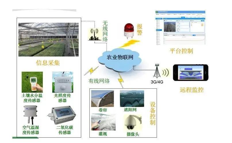 Innovative Agriculture Arches Tunnel Greenhouse