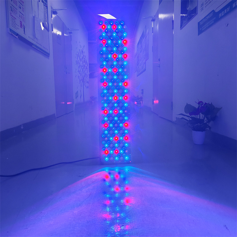 Full Body 660 850Nm Infraredblue Light Therapy Red Light Therapy Panel For Beauty Salon