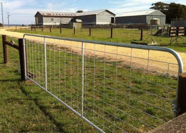 1m 1.17m Height Galvanized Heavy Duty Farm Gate For Australia non rusting