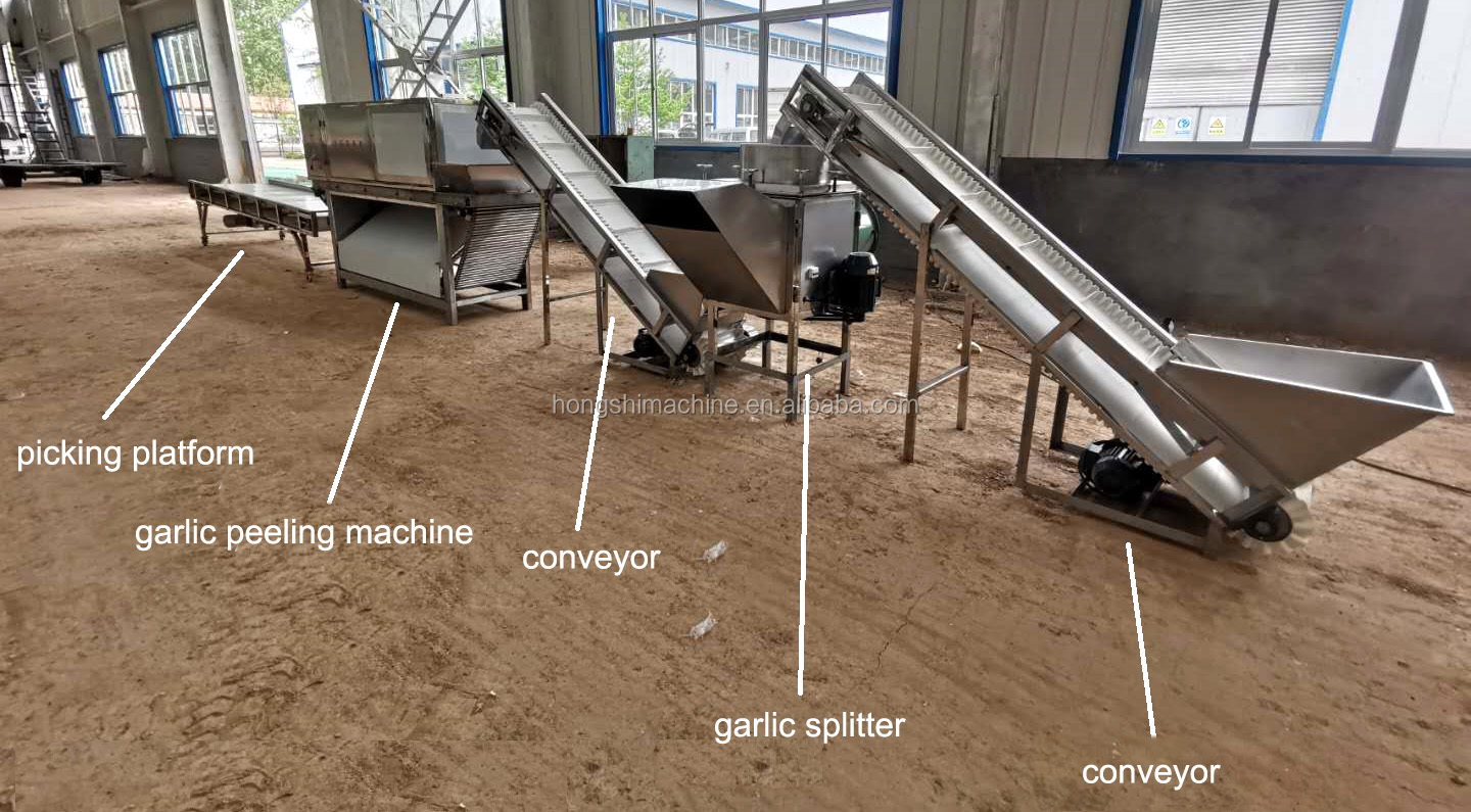 Automatic Garlic bulb breaking machine / Garlic peeler skin removing machine /Garlic peeling machine
