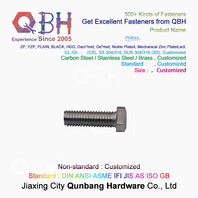 Custom European Standard Special T Square Head Bolt