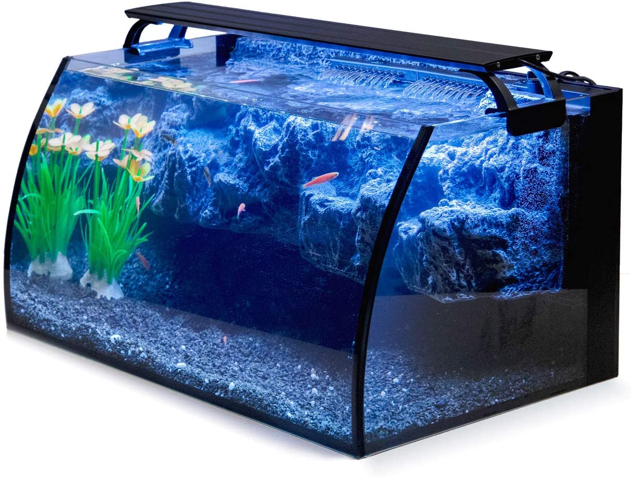 Hygger Small Fish Tank With Light And Filter