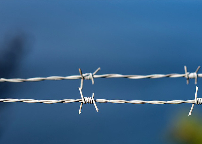 Use Of Prison Walls Double Strand Traditional Twist Galvanized Barbed Wire Coils