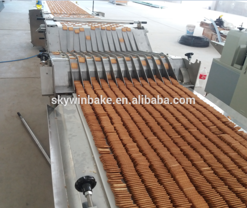 Skywin Advanced Industry Hard and Soft Biscuit Production Line price