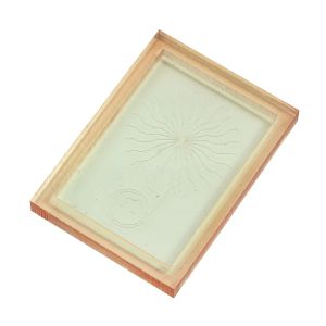 Zegota Microfluidic Chip Microfluidic CMOS Integration Service