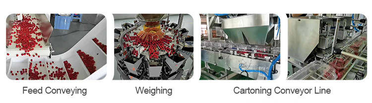 Fruit Multihead Weighing And Packaging Machine Cherry Linear Filling Production Line