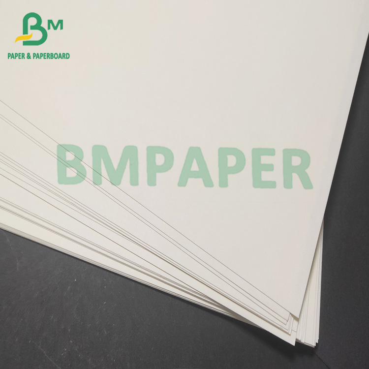 White Cup Stock Paper 1 PE / 2 PE Coated & Uncoated Cup Paper