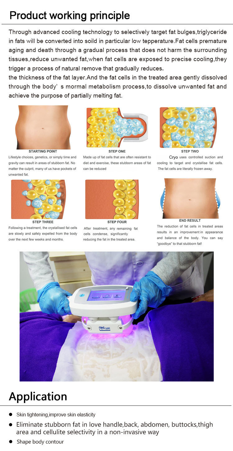 Professional cryo fat beauty machine fatest slimming weight loss cryo equipment LF-207B