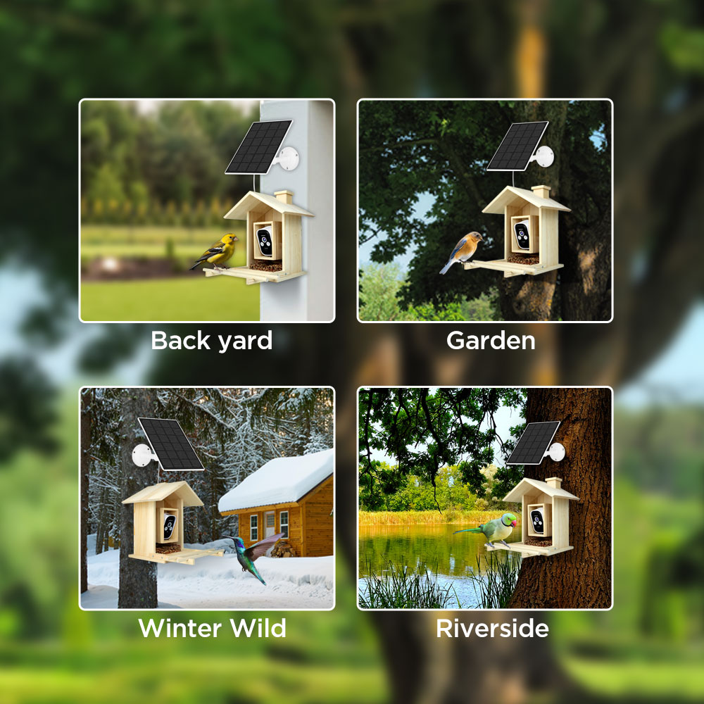 4MP HD Live Stream Video Outdoor Solar Remote Viewing Bird Feeder Camera PIR Wireless Battery Waterproof Camera