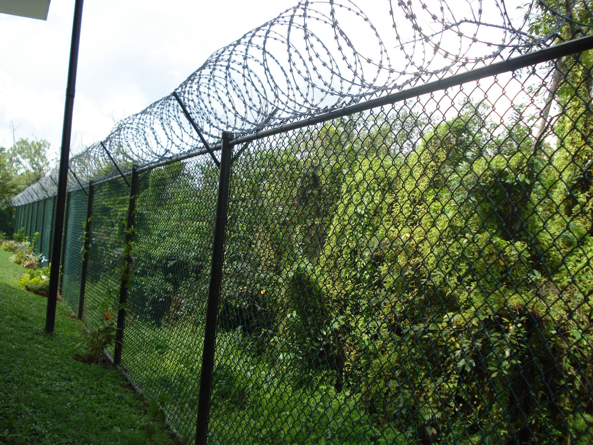 China Supplier High Quality Hot Dipped Galvanized Razor Barbed Wire Concertina Wire Fence Price Per Meter