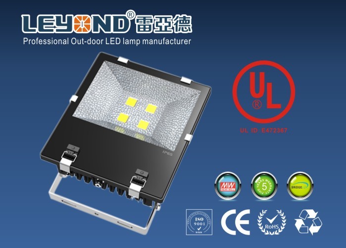 Water Proof COB Outdoor LED Flood Lights Bridgelux Chip 5 Years Warranty UL CUL