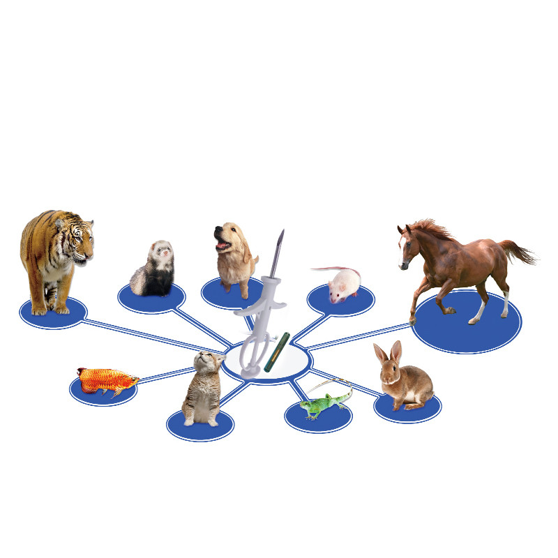 RBC-Z05-2.12mm ICAR Certified Rfid Livestock Syringe For Animals Pets ID