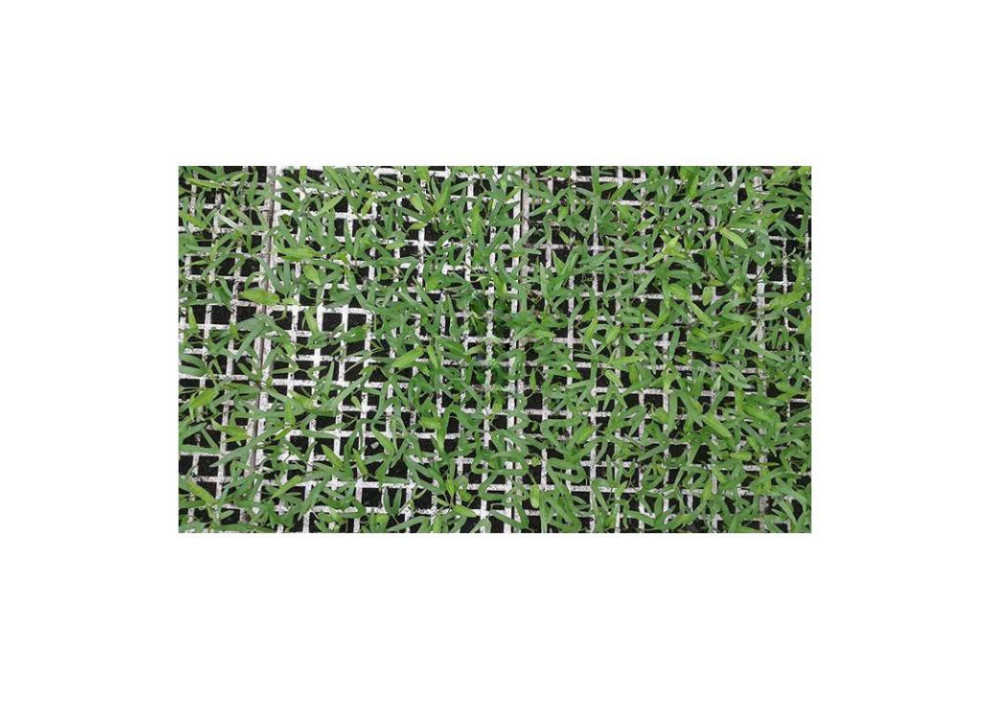 EPS / EVA / EPE / EPP Material 200 Well Seedling Tray Eps200 agriculture nursery tray